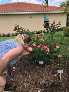 Karen-Sullivan-taking-time-to-smell-the-roses-Double-Delight-HT