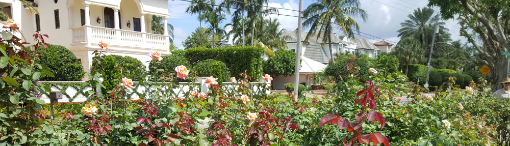 Greater Palm Beach Rose Society